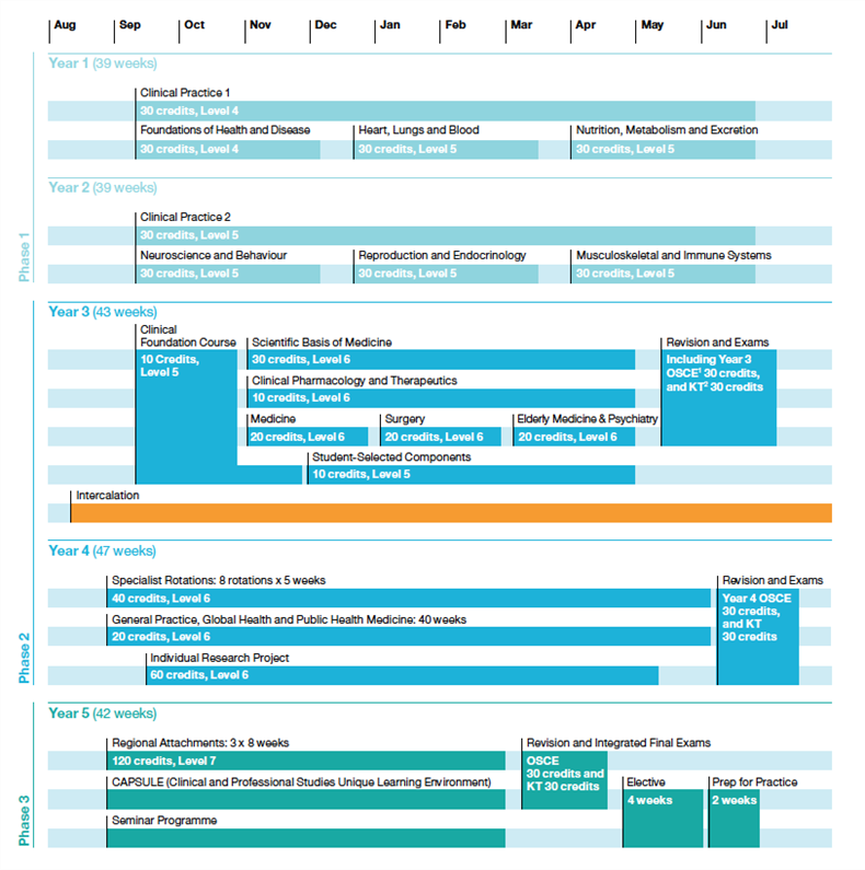 Course structure - BSMS