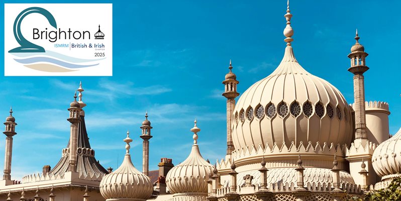 A photo of Brighton pavilion on a sunny day with a white logo in the top left corner