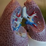 Long-term respiratory conditions could delay lung cancer diagnosis, new study finds