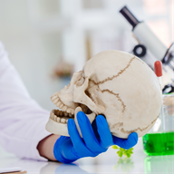 Blue PPE gloves holding a skull in a lab suite