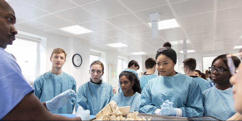 A group of BSMS students in the dissection suite looking at plastic anatomical models with an anatomy demonstrator